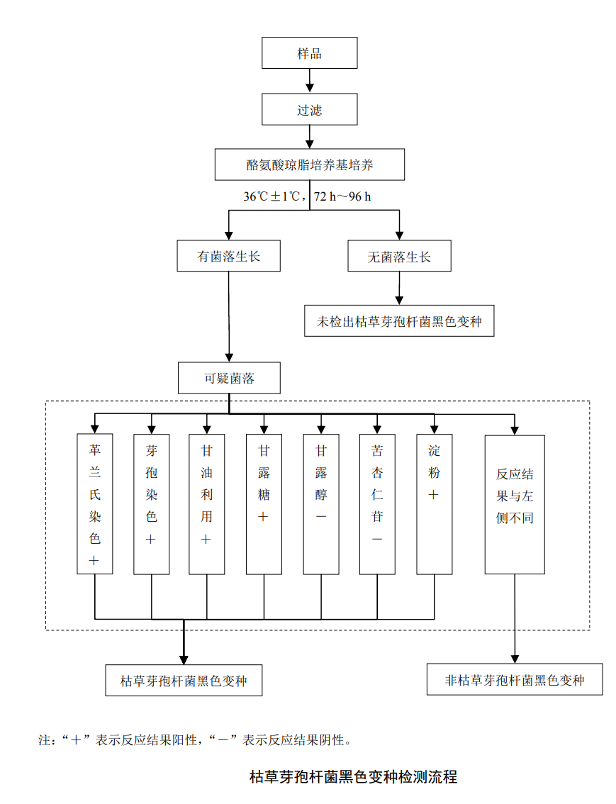 枯草芽孢桿菌黑色變種檢測流程